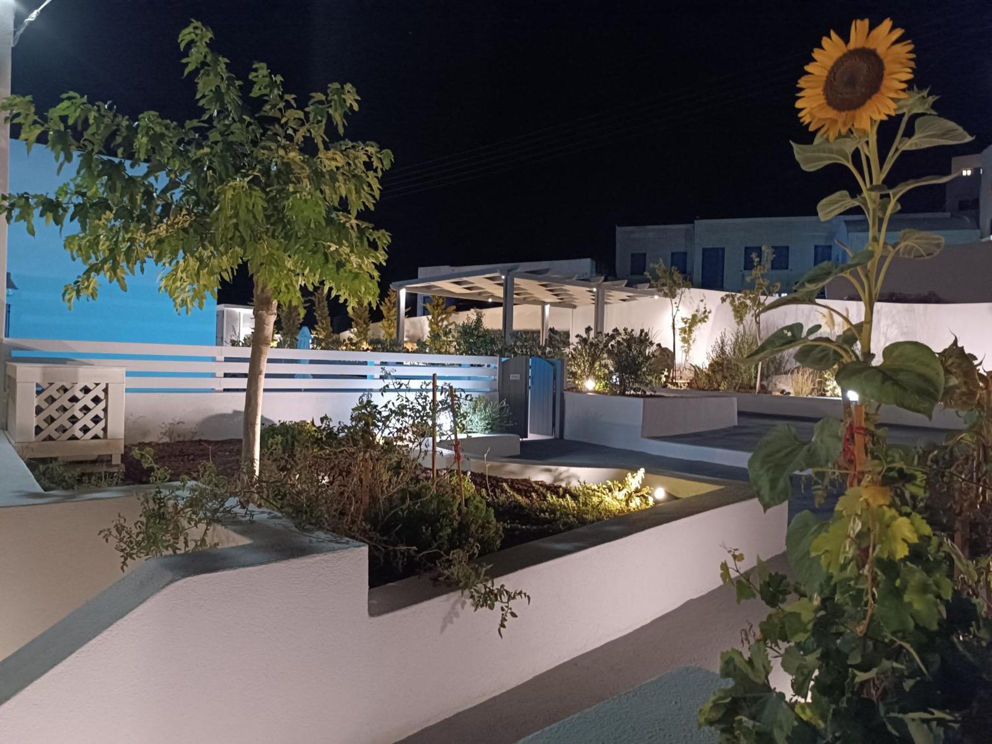 Anthemis Otel Imerovigli (Santorini)